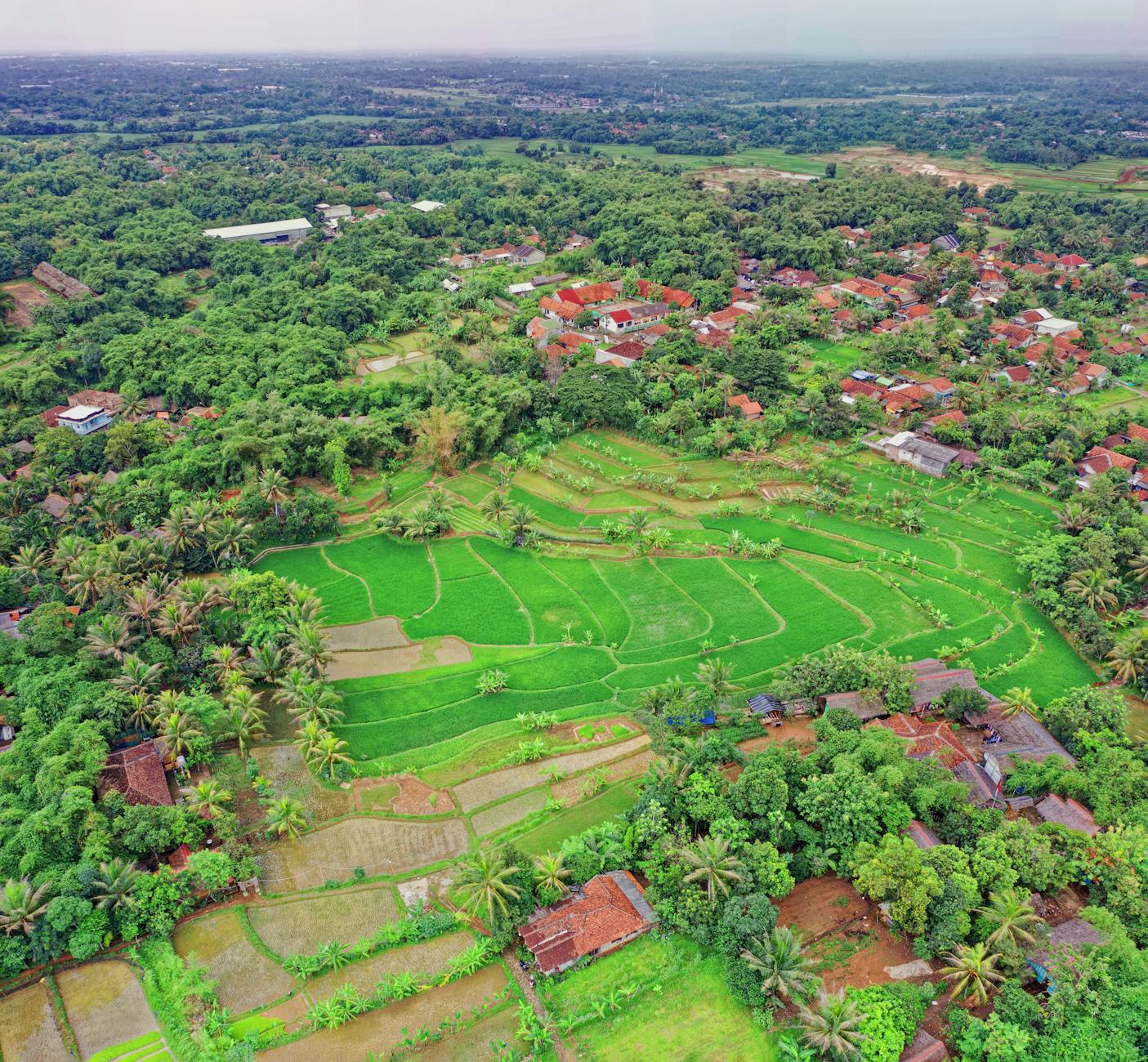 Foto dampak perubahan iklim di Indonesia: banjir, kebakaran hutan, dan cuaca ekstrem