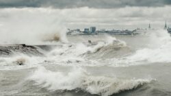 Grafik perbandingan suhu permukaan laut menampilkan pola hangat El Nino dan pola dingin La Nina