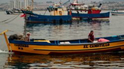 Mengenal Dampak El Nino dan La Nina Terhadap Cuaca Indonesia: Panduan Lengkap 2024