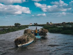 Mengenal Dampak El Nino dan La Nina Terhadap Cuaca Indonesia: Panduan Lengkap untuk Semua Pembaca