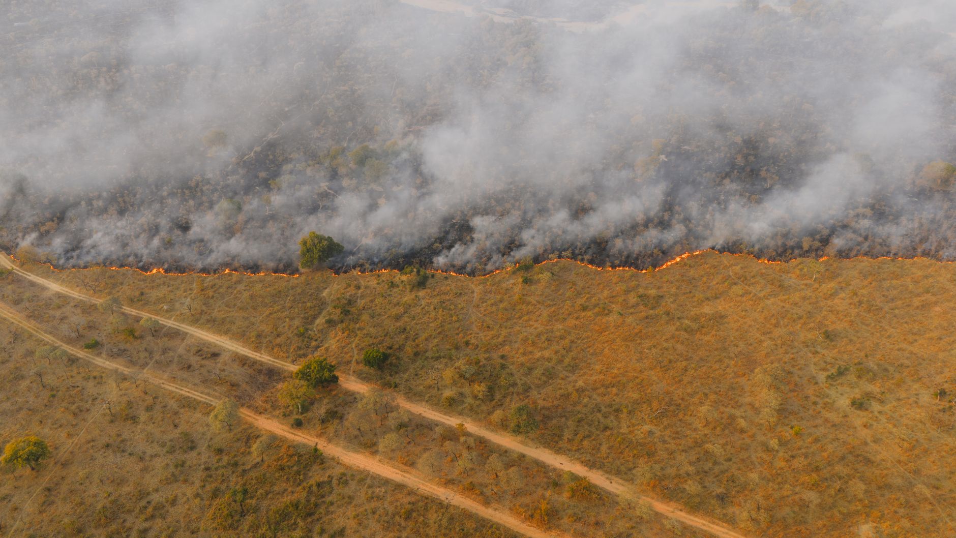 Kebakaran hutan terbaru menghanguskan rimbunan pohon di daerah pegunungan, menimbulkan asap tebal melayang