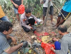 Polisi Selidiki Penemuan Kerangka Manusia di Hutan Efi-Efi–Gamhoku