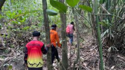 Warga Sukamaju Hilang di Hutan Tobelo Barat, Tim SAR Dikerahkan