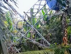 Tower Diduga Milik PLN Patah, Material Timpa Perkebunan Warga