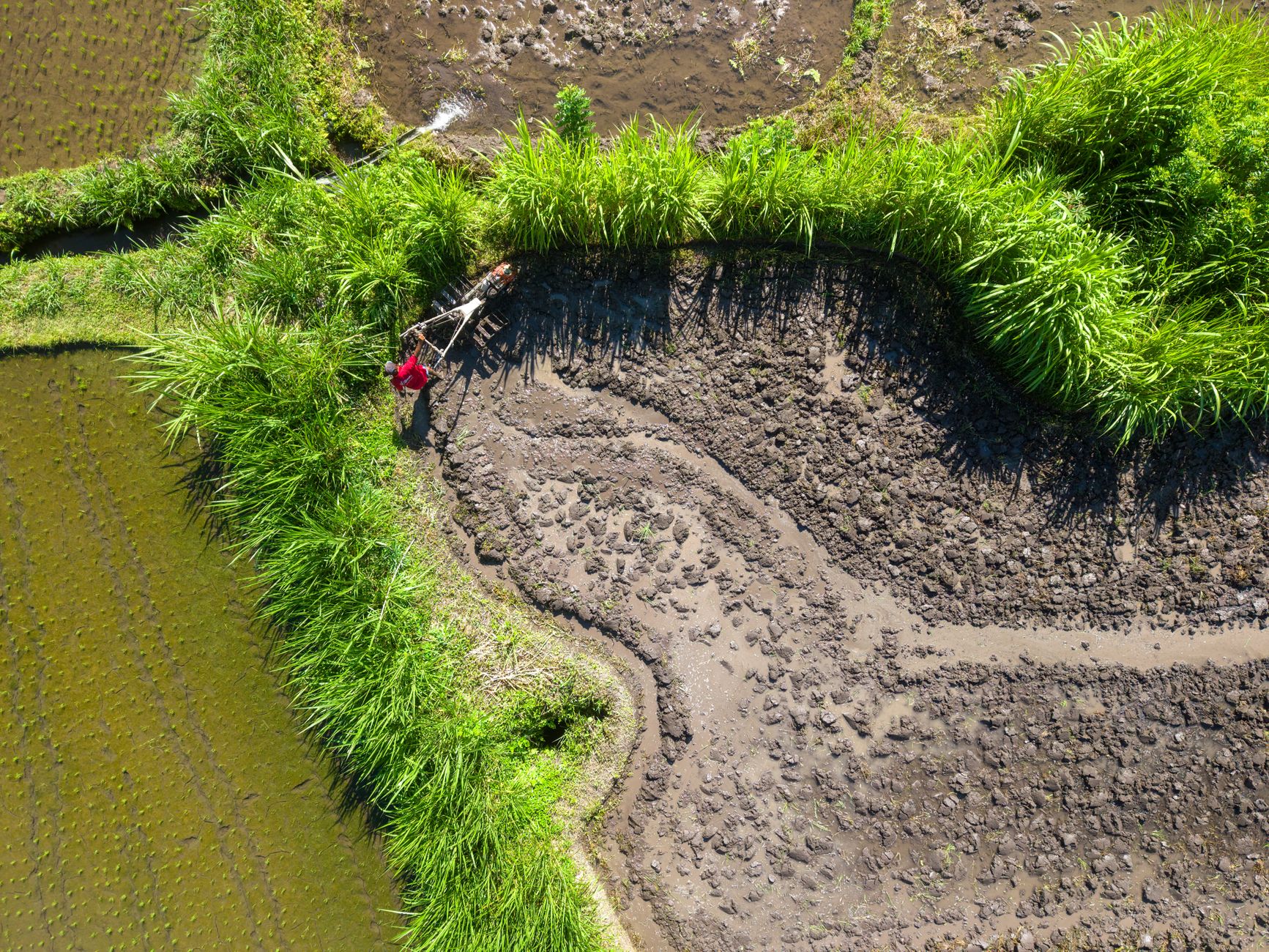 Grafik menunjukkan peningkatan suhu rata‑rata dan intensitas banjir di Indonesia akibat perubahan iklim.