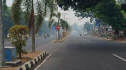 Kabut Asap Karhutla Selimuti Kota Tobelo, Warga Khawatir Jarak Pandang Menurun