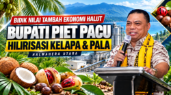 Bidik Nilai Tambah Ekonomi Halut, Bupati Piet Pacu Hilirisasi Kelapa dan Pala