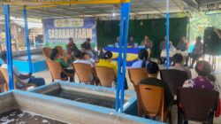 Sapi Dicuri, Disembelih di Lokasi! Kapolres Halut Minta Warga Kao Barat Segera Melapor