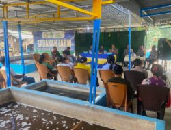 Sapi Dicuri, Disembelih di Lokasi! Kapolres Halut Minta Warga Kao Barat Segera Melapor